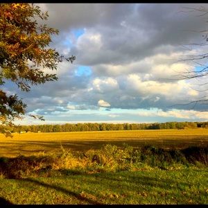 Meet your Posher, Wendy